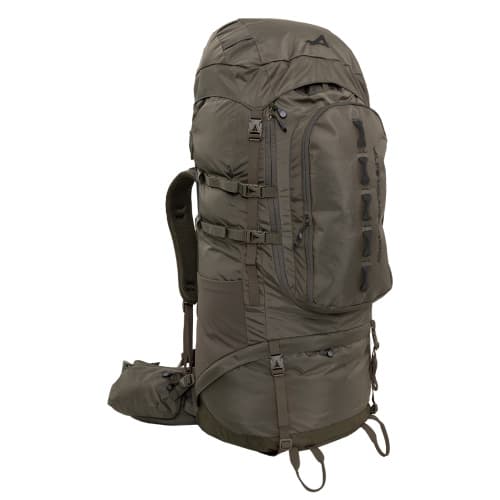 ALPS MOUNTAINEEING
